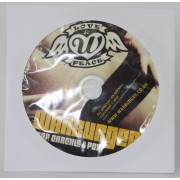 DVD Paper Window Wallet 